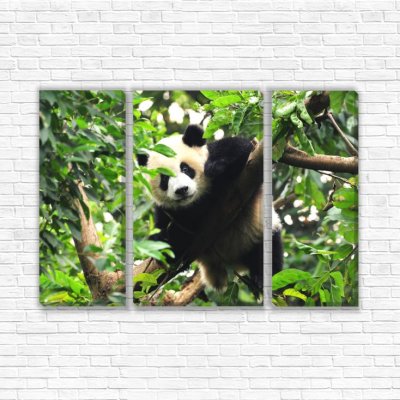 модульные картины Панда в лесу