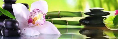 фотообои Восточная орхидея