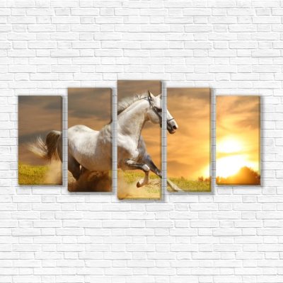модульные картины Бегущая белая лошадь