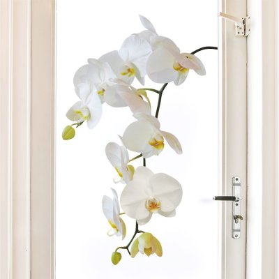 наклейки Ветка белой орхидеи