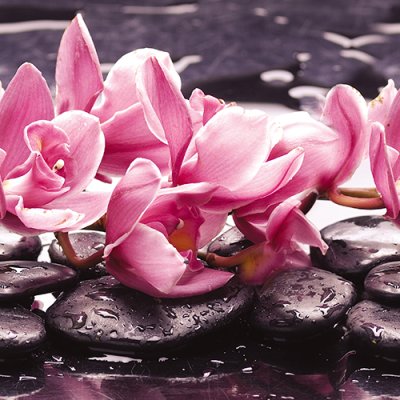 фотообои С розовой орхидеей