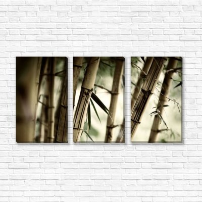 модульные картины Бамбуковые стебли