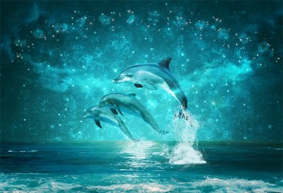 фотообои Дельфины ночью