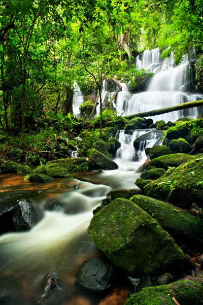 фотообои Водопад в лесу