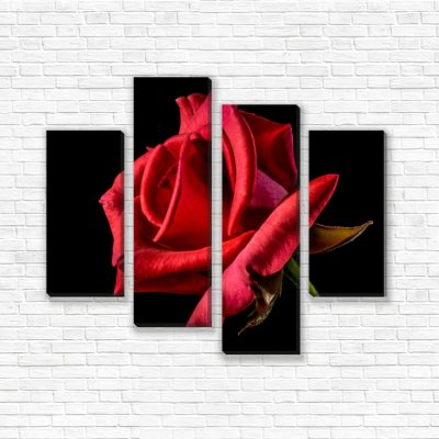 модульные картины Красная роза