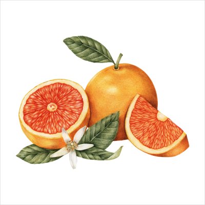 постеры Спелые апельсины